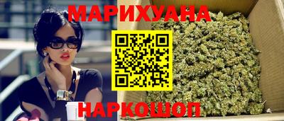 индика Коммунар