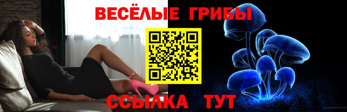 Ярцево  даркнет сайт  Вход с VPN  Галлюциногенные грибы мицелий 